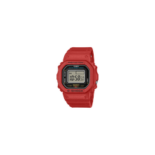 Load image into Gallery viewer, DWN5600-4D