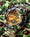 A BATHING APE® X G-SHOCK