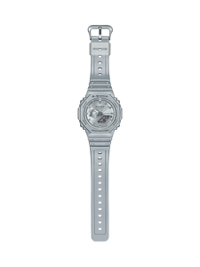 GA2100FF-8A