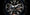 Centrifugal gravity resistance test