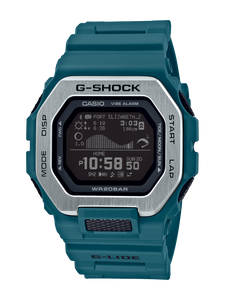 GBX100-2D